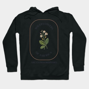 Wildflowers Of America Are Extraordinary Hoodie